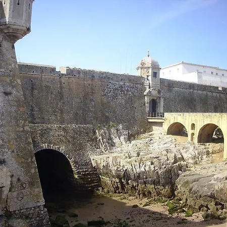 D. Antonia بينيش